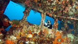 Gan Island Dive Centre - Maldives. Wreck diving.